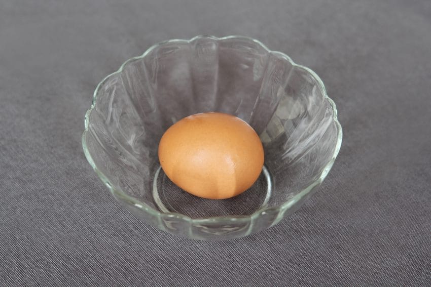 Brown egg in a bowl