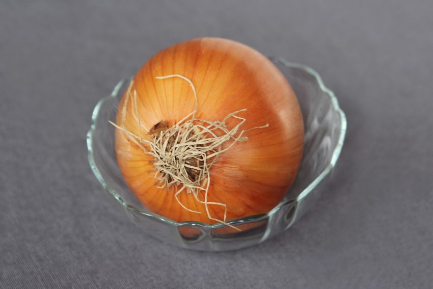 Onion in a bowl
