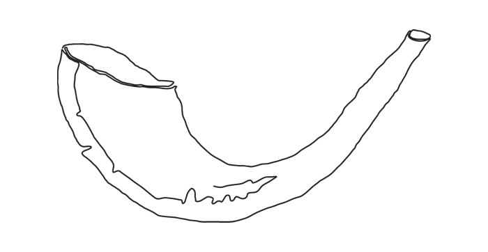 Shofar drawing