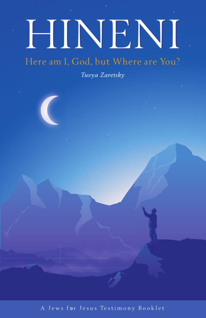 Hineni: Here Am I God, But Where Are You? book cover